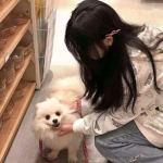 山海经传奇手机版下载